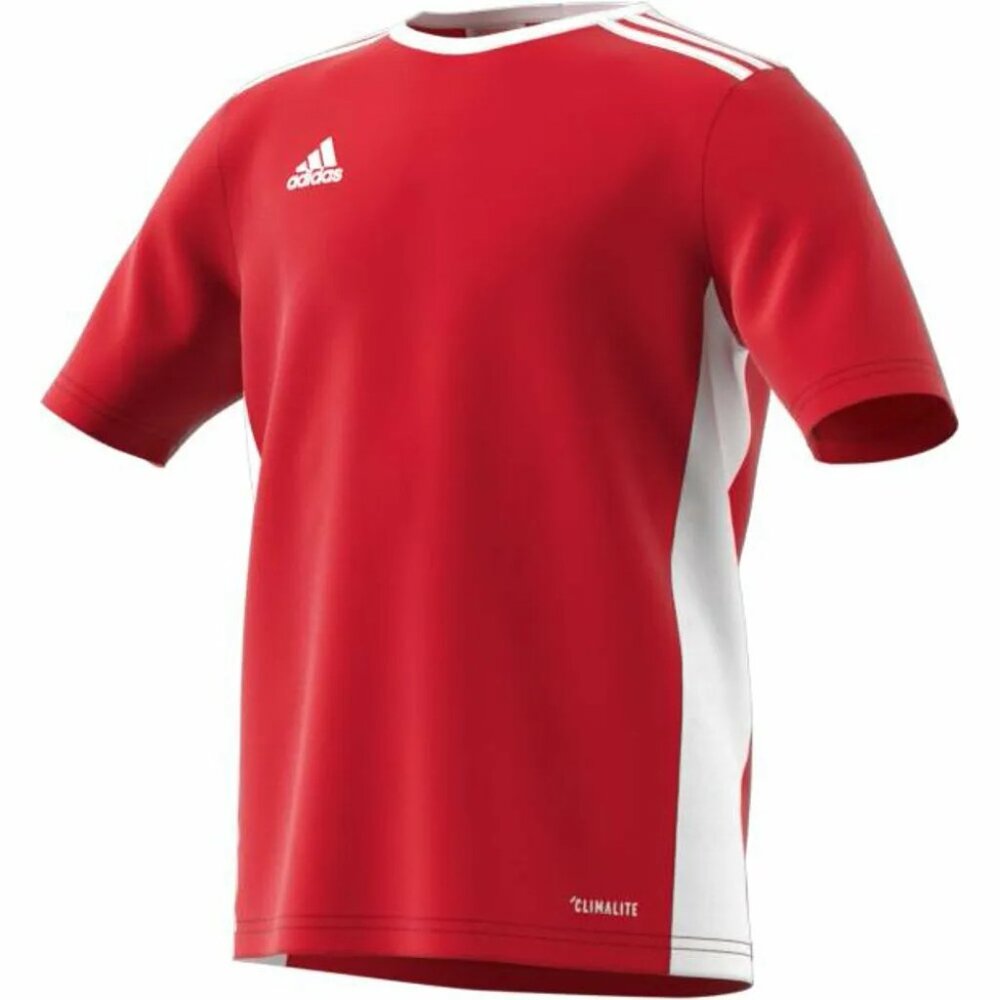 Adidas Boys' Entrada 18 Short Sleeve Jersey,  Soccer